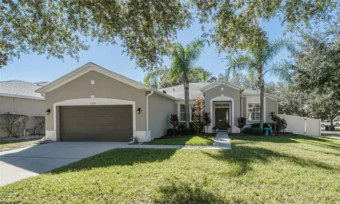 11329 Bridge Pine Dr, Riverview, FL 33569