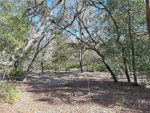 8261 NE 118th Ter, Bronson, FL 32621 photo 41