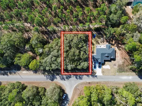tbd Guava Pass, Ocklawaha, FL 32179