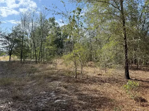 SE 92nd Court, Belleview, FL 34420