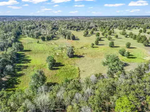 tbd NW 127 Ct, Ocala, FL 34482 photo 14