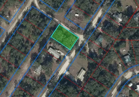 15950 NE 4th Pl, Williston, FL 32696 photo 2