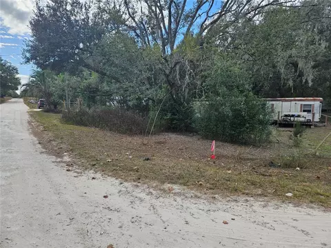 15950 NE 4th Pl, Williston, FL 32696 photo 4