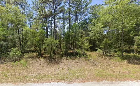 1110 NW Redwood Dr, Dunnellon, FL 34431
