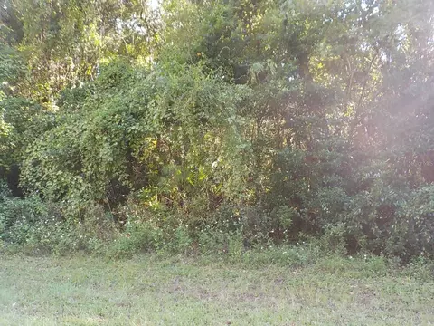 11641 N Kenlake Cir, Dunnellon, FL 34434