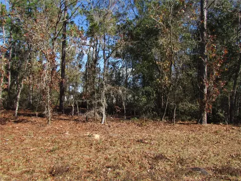 lot18 SW 156 St, Ocala, FL 34473
