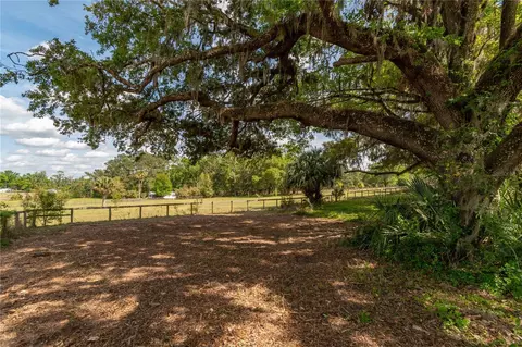 6124 NW 160th St, Reddick, FL 32686 photo 34