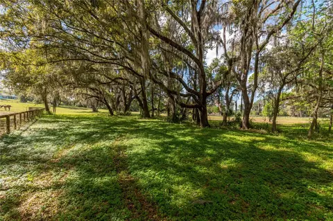 6124 NW 160th St, Reddick, FL 32686 photo 30
