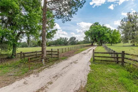 6124 NW 160th St, Reddick, FL 32686 photo 37