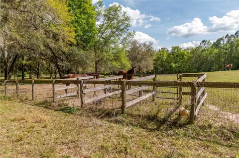 6124 NW 160th St, Reddick, FL 32686 photo 21