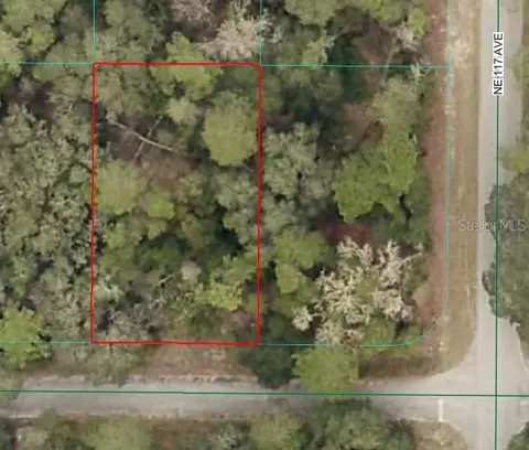 Ne 239th St, Fort Mc Coy, FL 32134