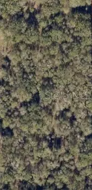 0 SW Blanton Ln, Lake City, FL 32024