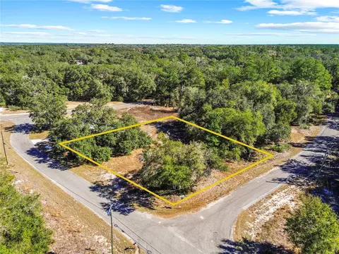 0 Guava Terrace Place Bay Place Run, Ocklawaha, FL 32179