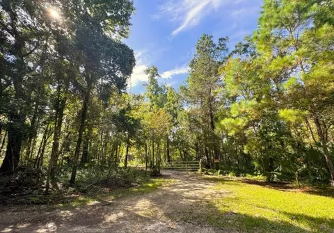 Other - 00 Clayton Rd, Cedar Key, FL 32625 photo 10 of 10
