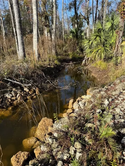 View/Area - 00 Clayton Rd, Cedar Key, FL 32625 photo 1 of 4