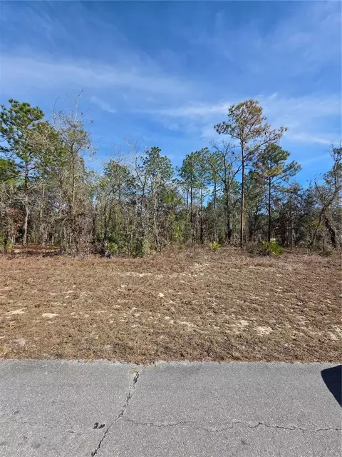 tbd SW 87th Ave, Ocala, FL 34473