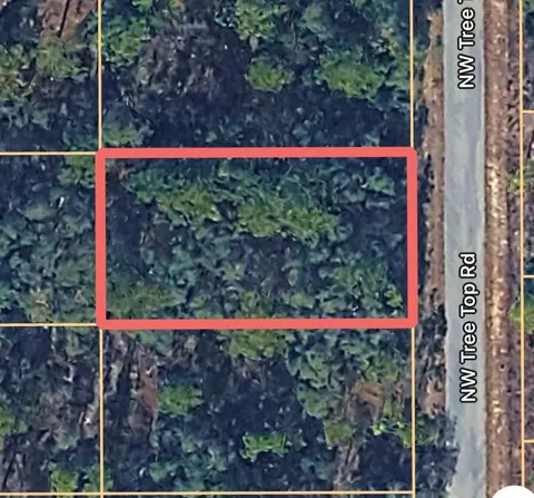 0000 NW Treetop Rd #007, Dunnellon, FL 34431