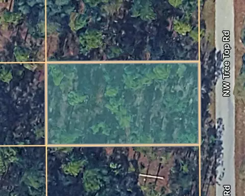 0000 NW Treetop Rd # 021, Dunnellon, FL 34431