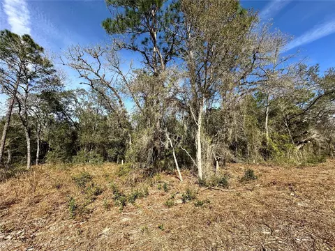 tbd SE 67th Pl, Morriston, FL 32668