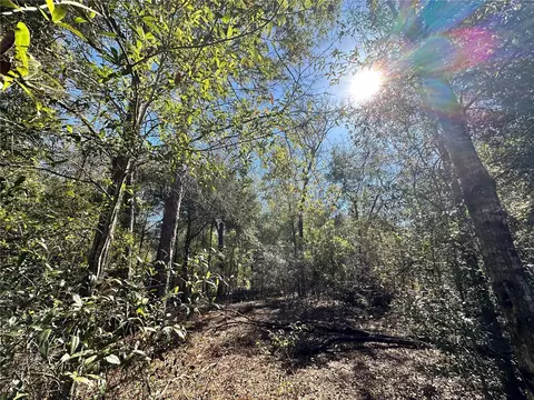 tbd NE Ne 85th Ave, Bronson, FL 32621