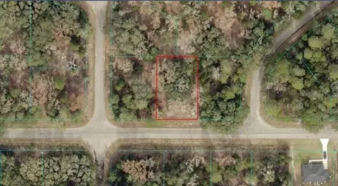 Tba Guava Pass, Ocklawaha, FL 32179