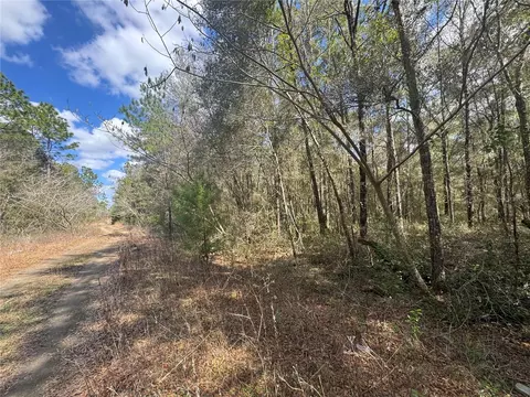 0000 NE 154th Ave, Williston, FL 32696 photo 3