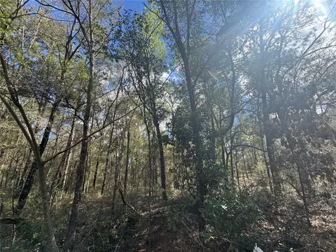 0000 NE 154th Ave, Williston, FL 32696 photo 4