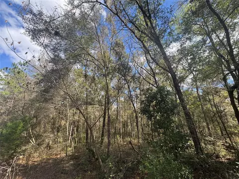 0000 NE 154th Ave, Williston, FL 32696 photo 2