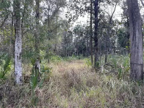 11106 W Townsend Ln, Homosassa, FL 34448