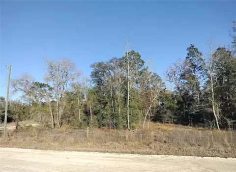 SE 136th Avenue, Morriston, FL 32668