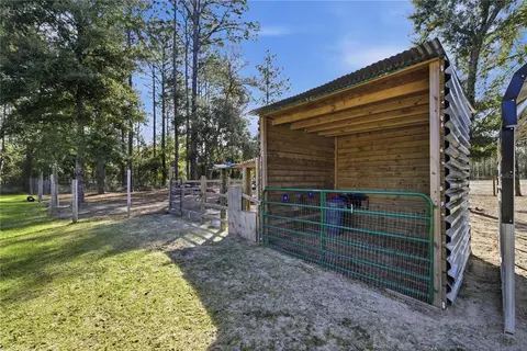 Exterior - 13920 NE 6th St, Williston, FL 32696 photo 6 of 7