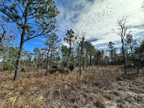 tbd NE 150th Ct, Williston, FL 32696