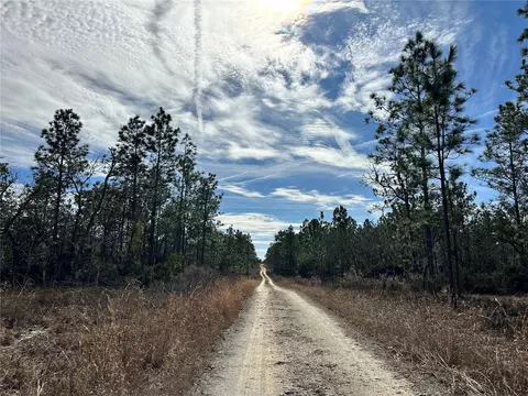 tbd NE 150th Ct, Williston, FL 32696 photo 4