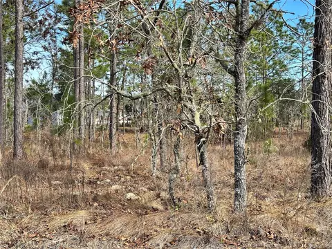 tbd NE 150th Ct, Williston, FL 32696 photo 5