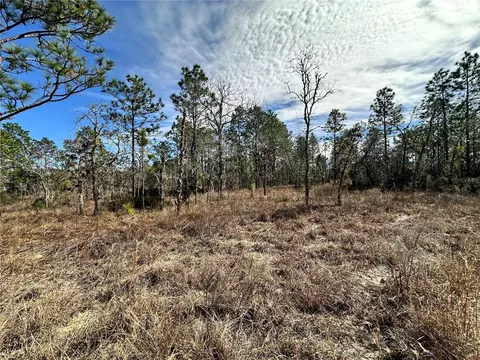 tbd NE 150th Ct, Williston, FL 32696 photo 2