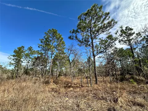 tbd NE 150th Ct, Williston, FL 32696 photo 3