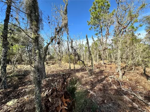 tbd NE 16th Ln, Williston, FL 32696 photo 3