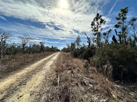 tbd NE 16th Ln, Williston, FL 32696 photo 5