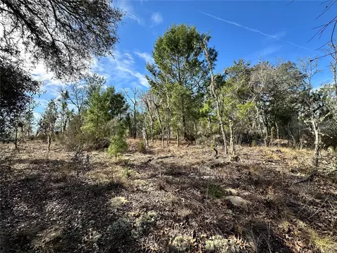 tbd NE 16th Ln, Williston, FL 32696 photo 2
