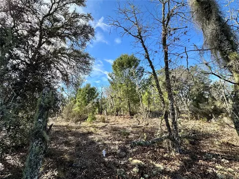 tbd NE 16th Ln, Williston, FL 32696 photo 4