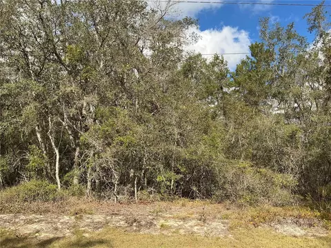 lot8 Fisher Trce, Ocklawaha, FL 32179