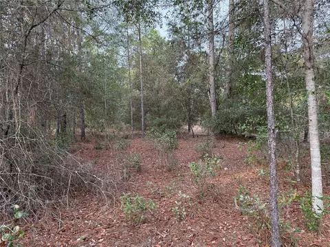 tbd SE Audubon Ave, Dunnellon, FL 34431