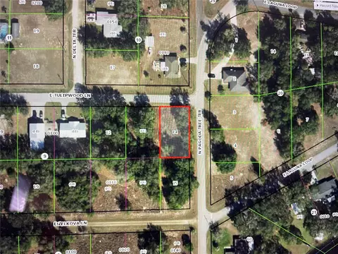 3798 E Tulipwood Ln, Hernando, FL 34442 photo 3