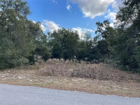 3798 E Tulipwood Ln, Hernando, FL 34442 photo 5