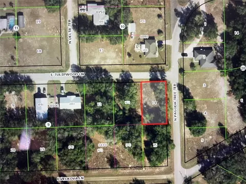 3798 E Tulipwood Ln, Hernando, FL 34442 photo 2