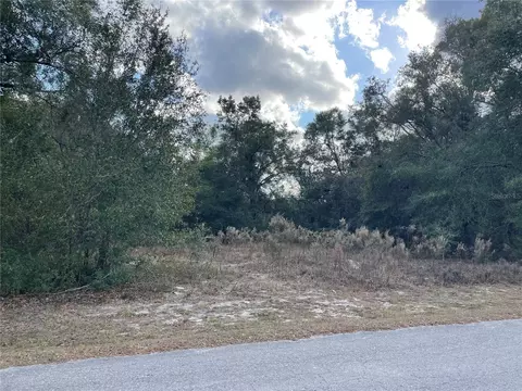 3798 E Tulipwood Ln, Hernando, FL 34442 photo 4