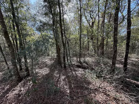 tbd NE 80th St, Bronson, FL 32621