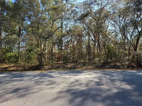3686 W Parkview Dr, Dunnellon, FL 34433