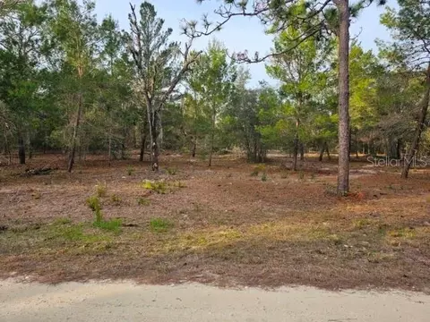 6341 W Stockholm Ln, Dunnellon, FL 34433