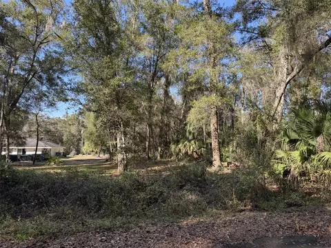 Sequoia Loop Track, Ocklawaha, FL 32179